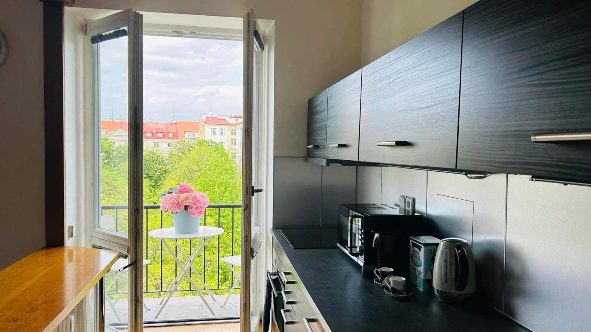 Apartment Park View Andel *